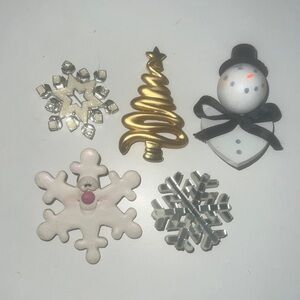 Festive Holiday Brooch/pin 5pc Set